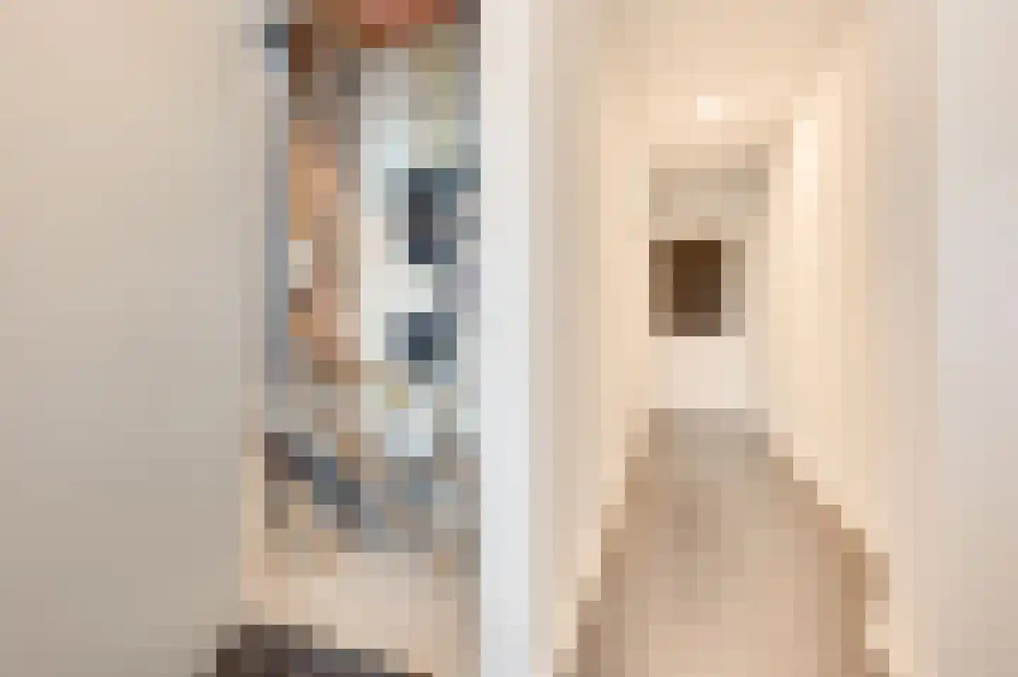 Dorpsstraat 8 Schoondijke thumbnail 6