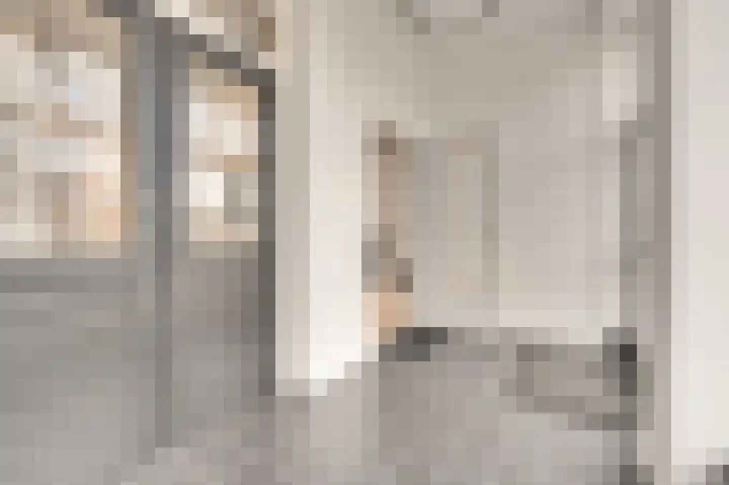 Dorpsstraat 8 Schoondijke thumbnail 7