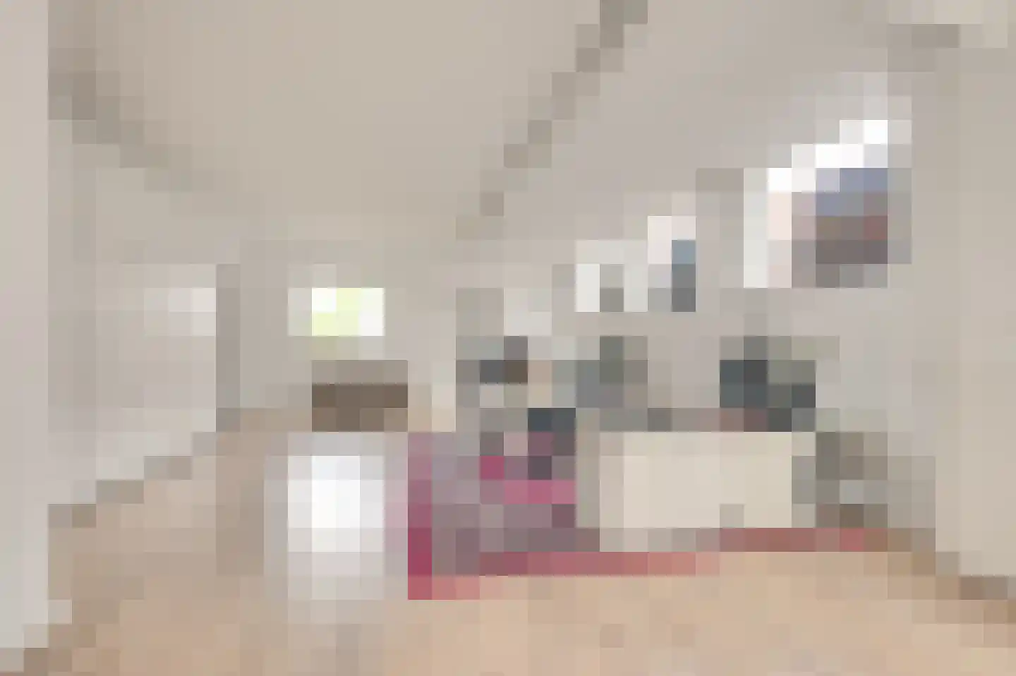 Dorpsstraat 8 Schoondijke thumbnail 8