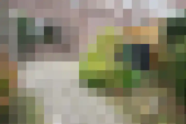 Dorpsstraat 8 Sint Kruis thumbnail 20