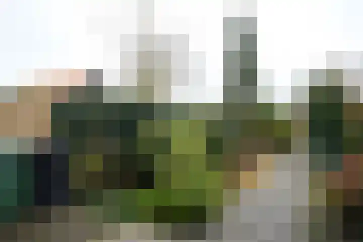 Dorpsstraat 8 Sint Kruis thumbnail 21