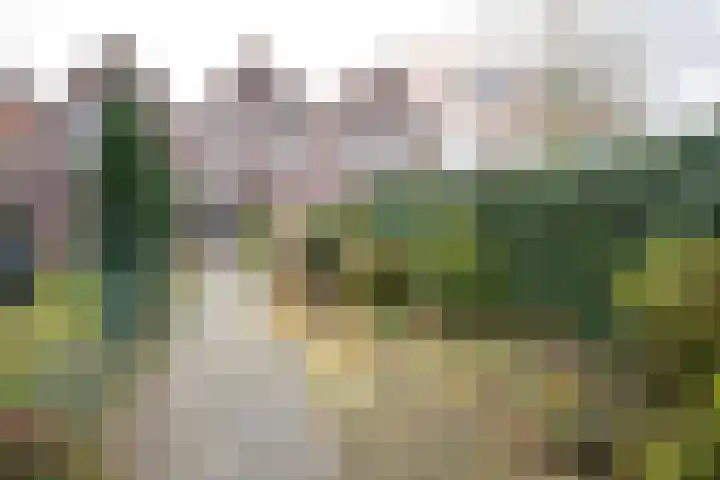Dorpsstraat 8 Sint Kruis thumbnail 22
