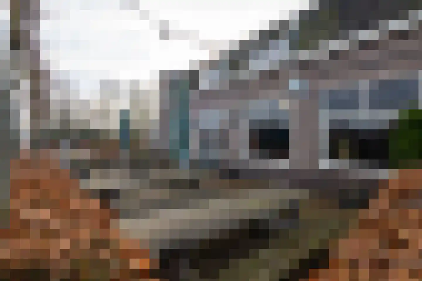 Dorpsstraat 8 Tynaarlo thumbnail 43