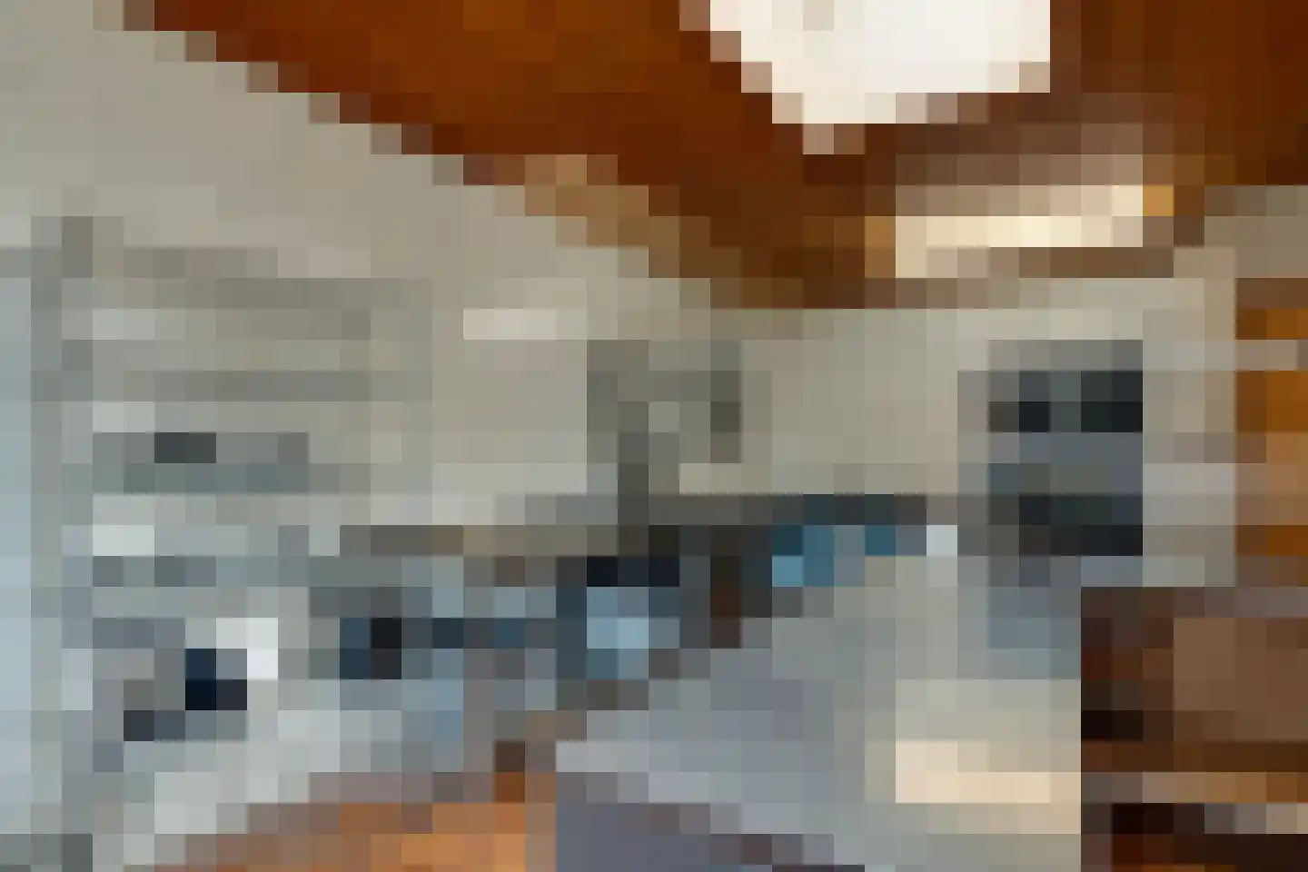 Dorpsstraat 8 Tynaarlo thumbnail 45