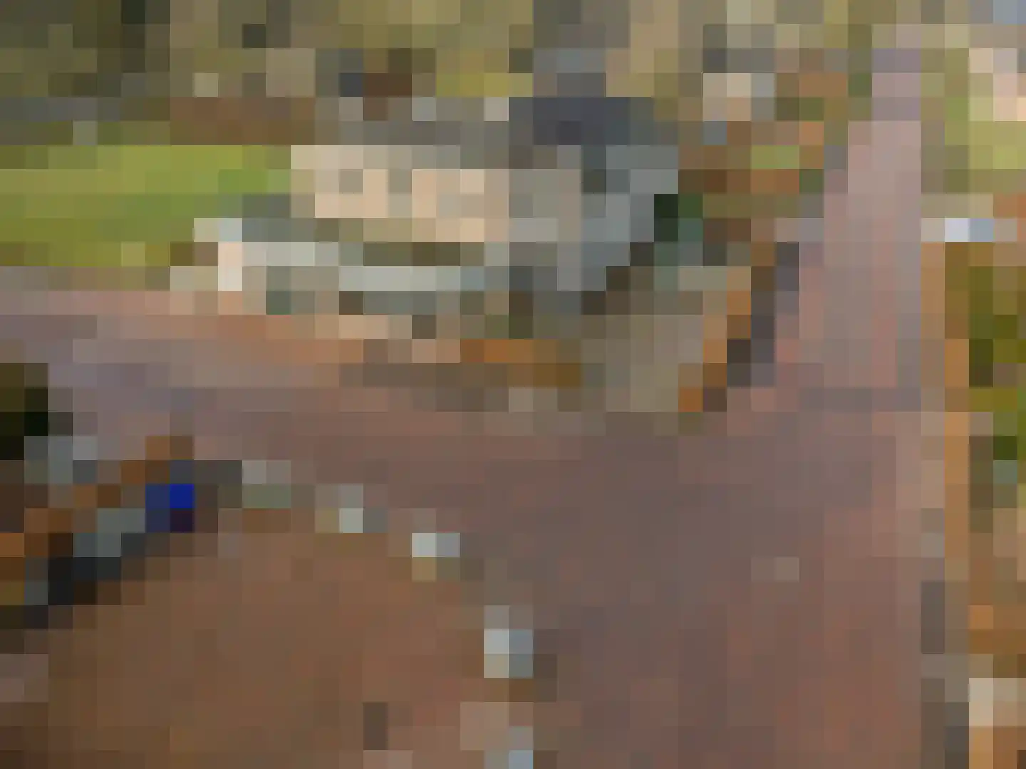 Dorpsstraat 8 Tynaarlo thumbnail 5