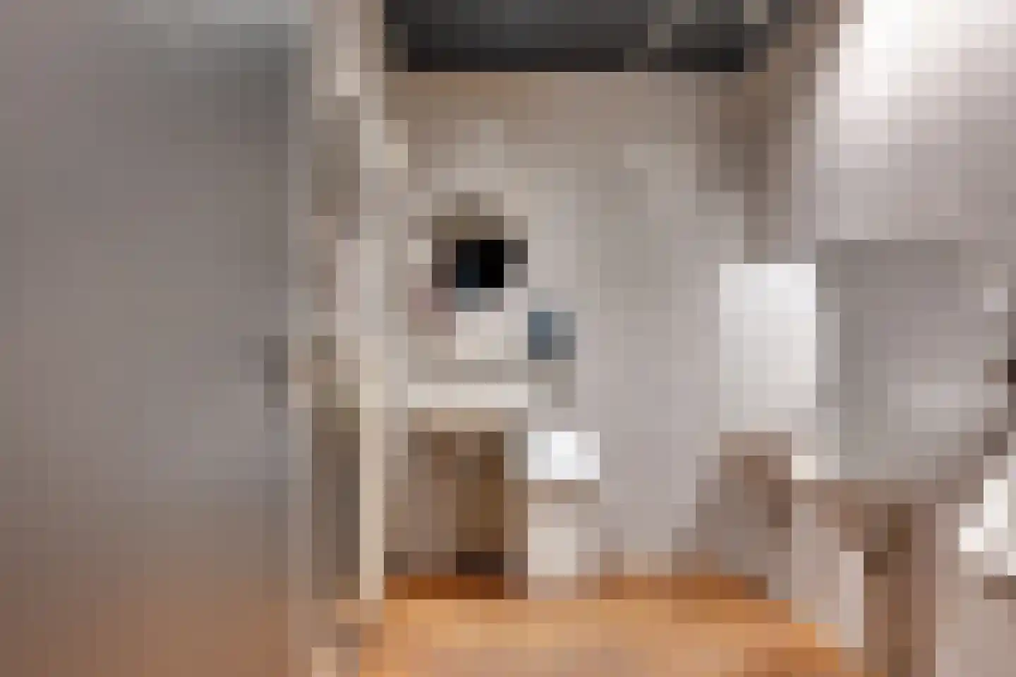 Dorpsstraat 8 Tynaarlo thumbnail 58