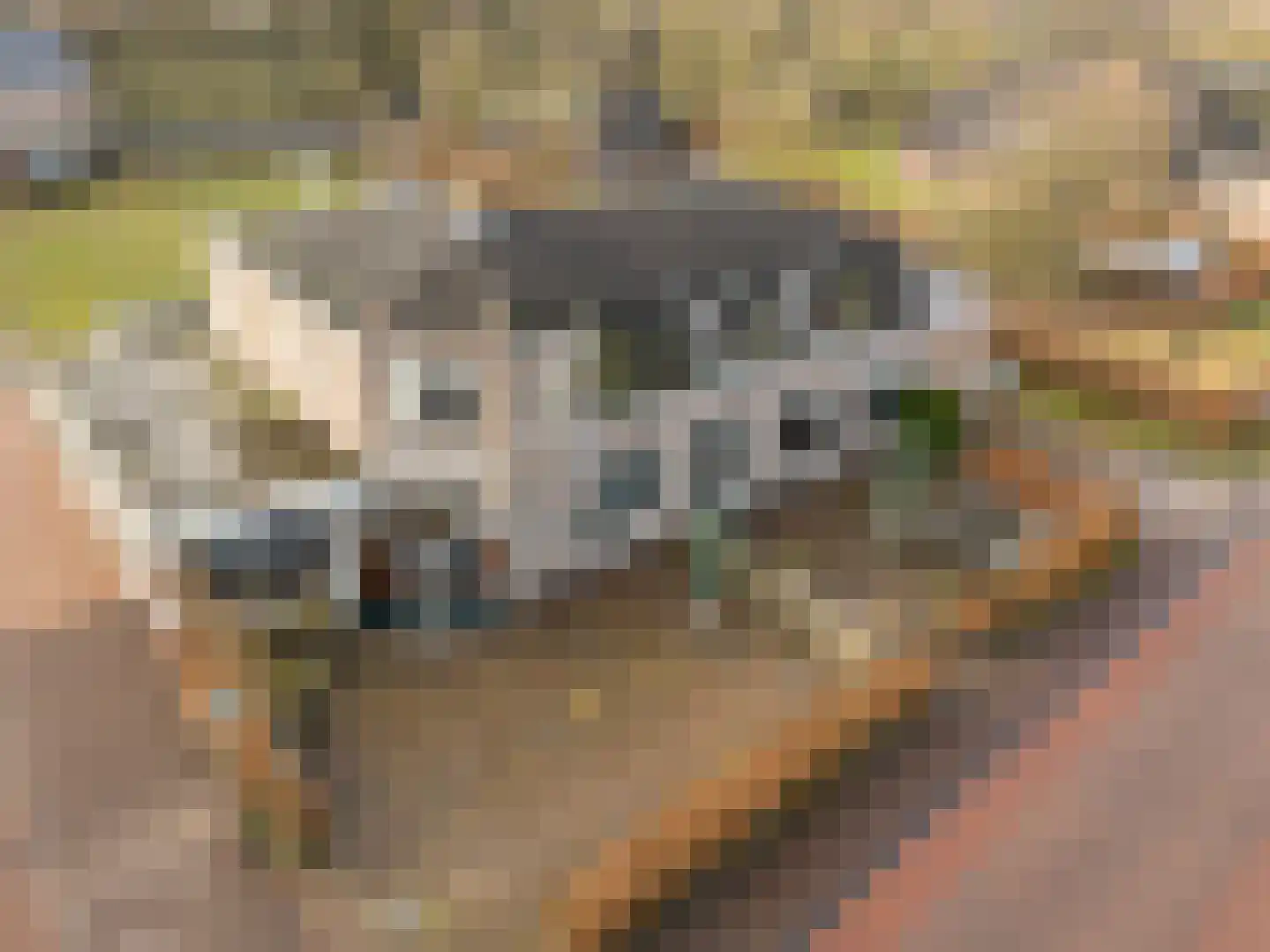 Dorpsstraat 8 Tynaarlo thumbnail 6
