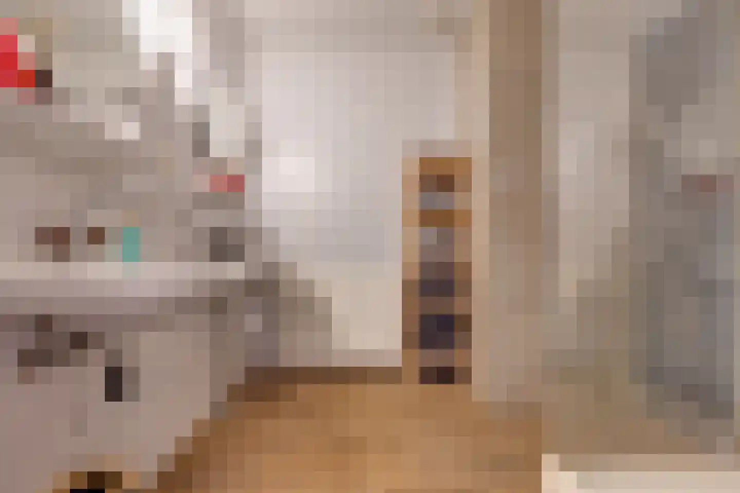 Dorpsstraat 8 Tynaarlo thumbnail 70