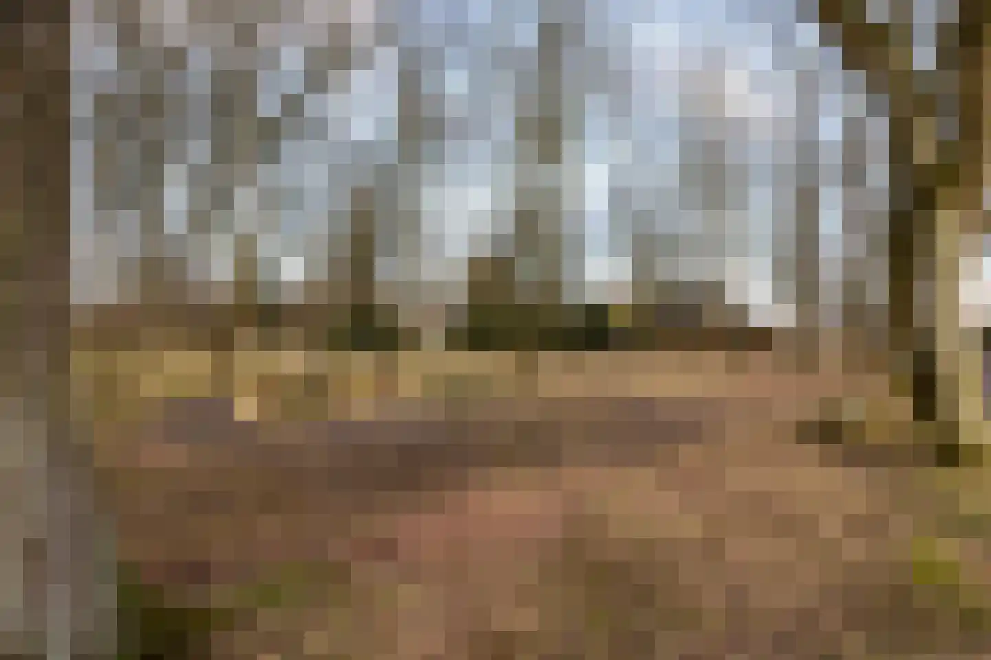 Dorpsstraat 8 Tynaarlo thumbnail 82