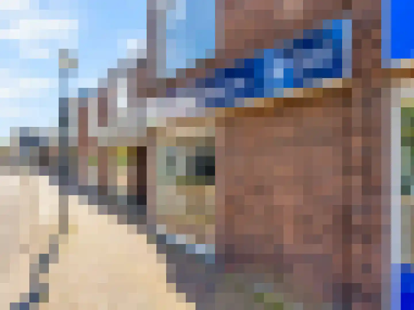 Dorpsstraat 8 Vleuten thumbnail 35