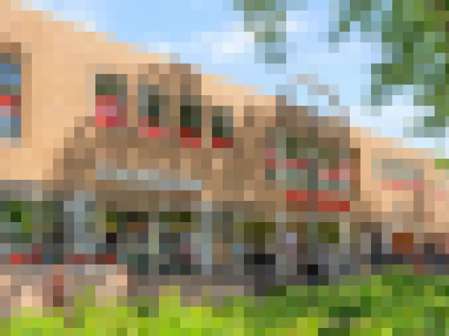 Dorpsstraat 8 Vleuten thumbnail 40