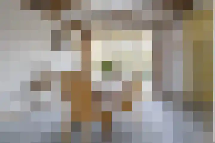 Dorpsstraat 8 Wervershoof thumbnail 12