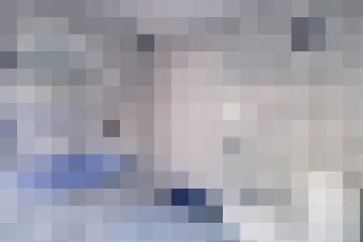 Dorpsstraat 8 Wervershoof thumbnail 33