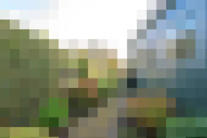 Dorpsstraat 8 Wervershoof thumbnail 37
