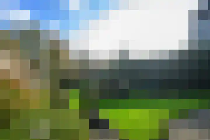 Dorpsstraat 8 Wervershoof thumbnail 38