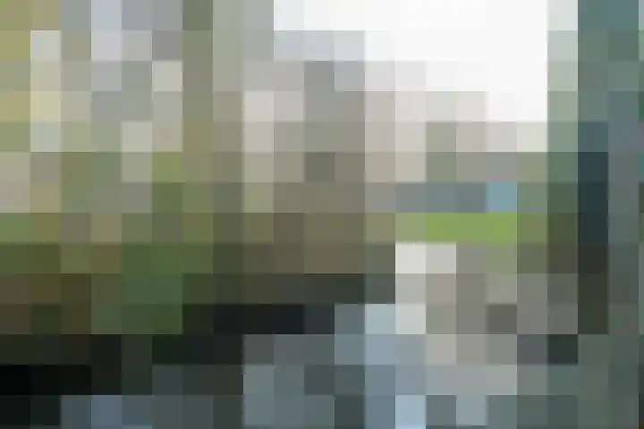 Dorpsstraat 8 Wervershoof thumbnail 4