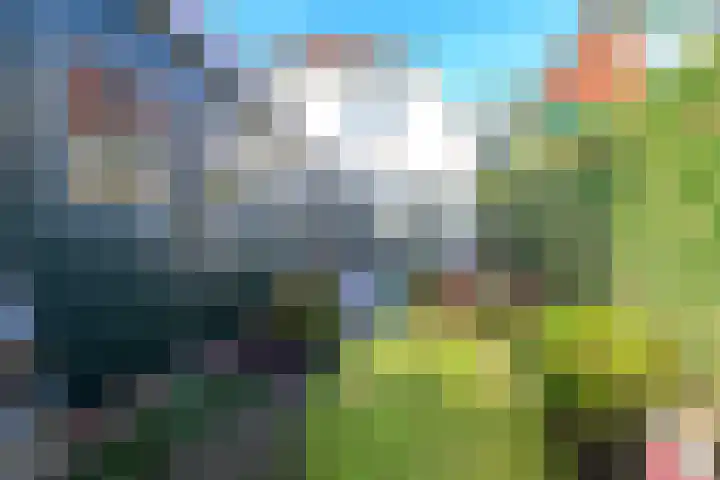 Dorpsstraat 8 Wervershoof thumbnail 5