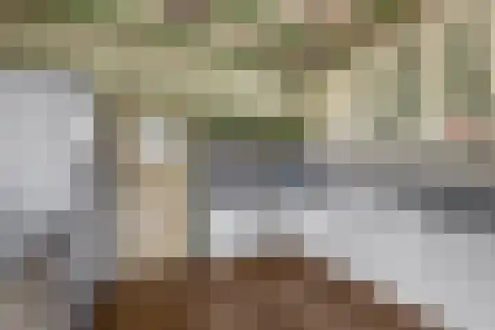 Dorpsstraat 8 Wormer thumbnail 17