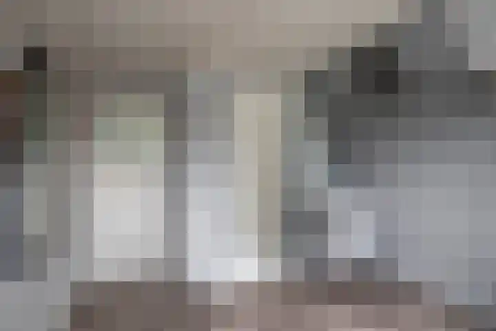 Dorpsstraat 8 Wormer thumbnail 30