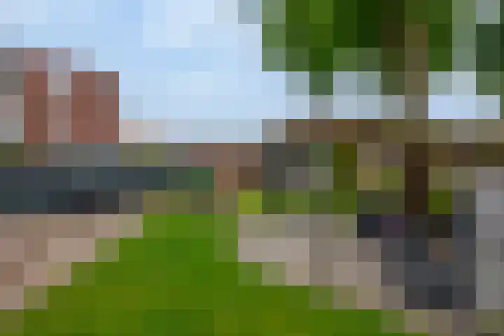 Dorpsstraat 8 Wormer thumbnail 36