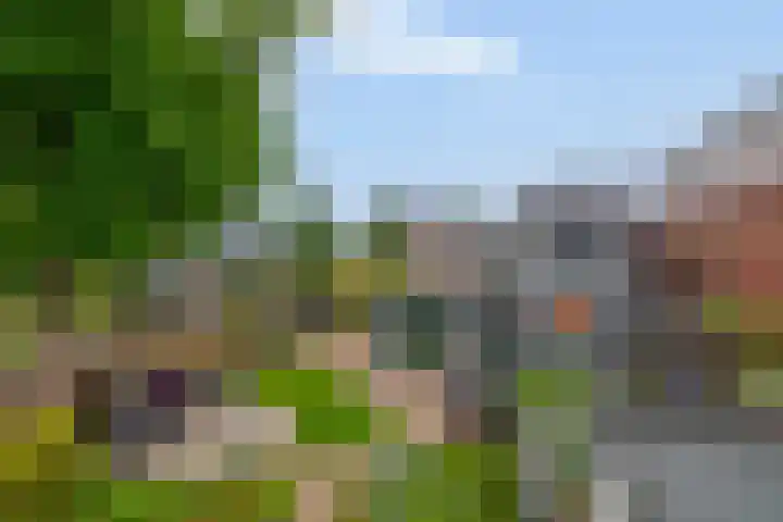 Dorpsstraat 8 Wormer thumbnail 40
