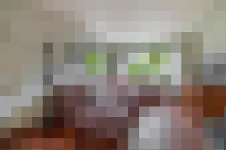 Dorpsstraat 8 Wormer thumbnail 9