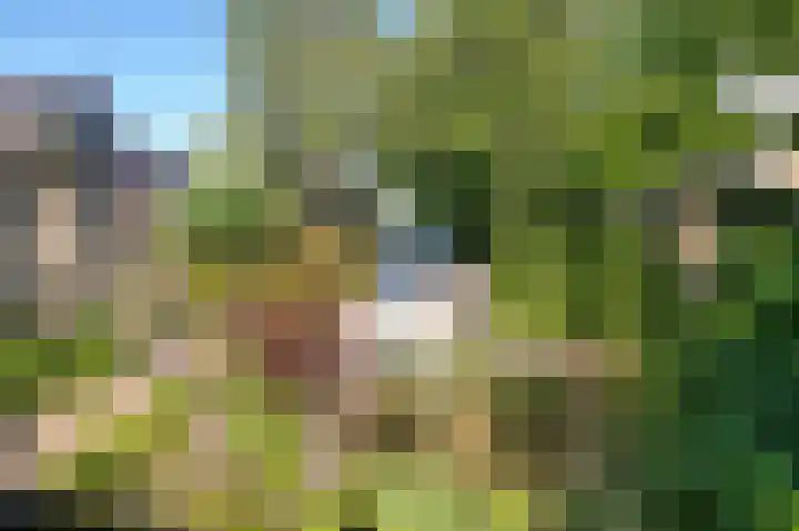 Dorpsstraat 80 Broek op Langedijk thumbnail 33