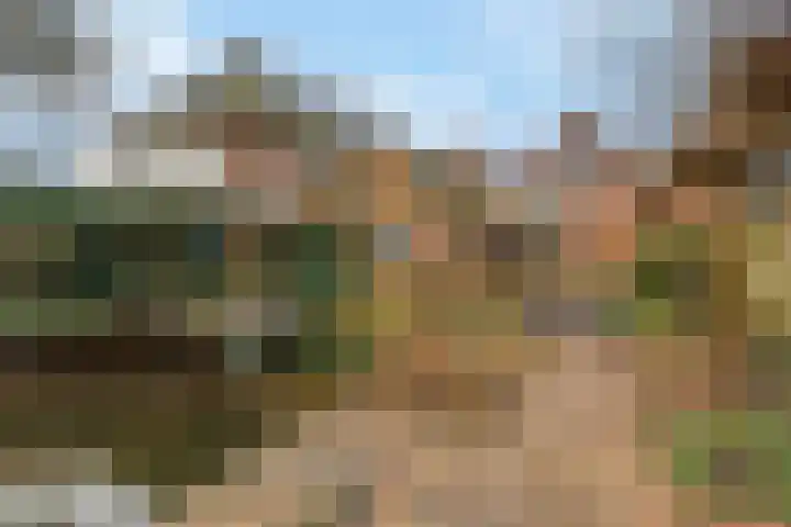 Dorpsstraat 80 Broek op Langedijk thumbnail 36