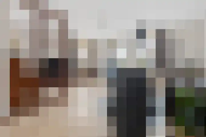 Dorpsstraat 80 Broek op Langedijk thumbnail 6