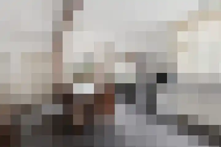Dorpsstraat 80 Broek op Langedijk thumbnail 9