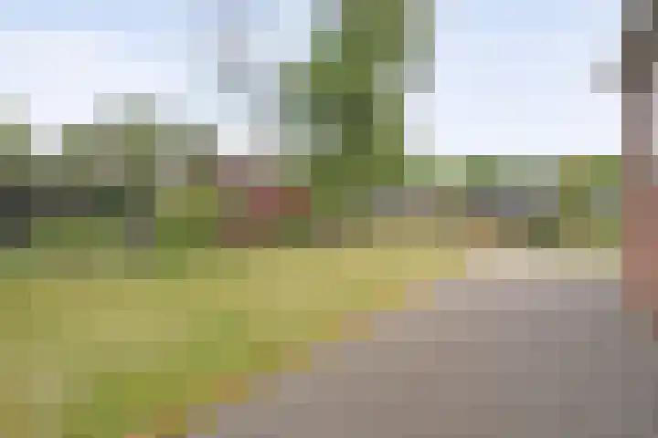 Dorpsstraat 80 Dalerpeel thumbnail 32