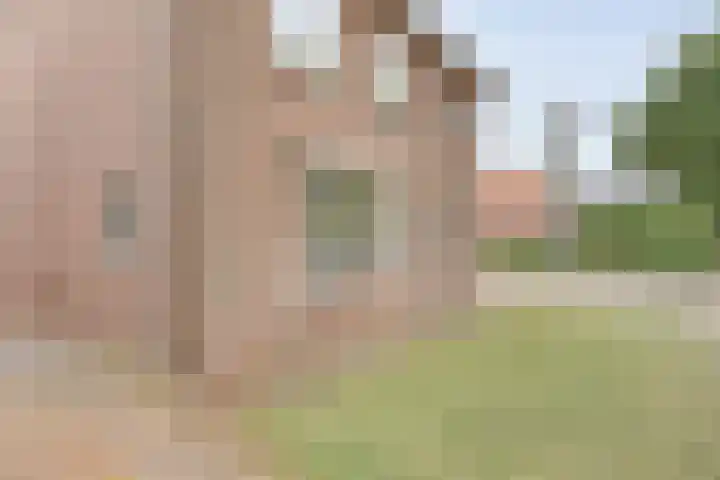 Dorpsstraat 80 Dalerpeel thumbnail 35