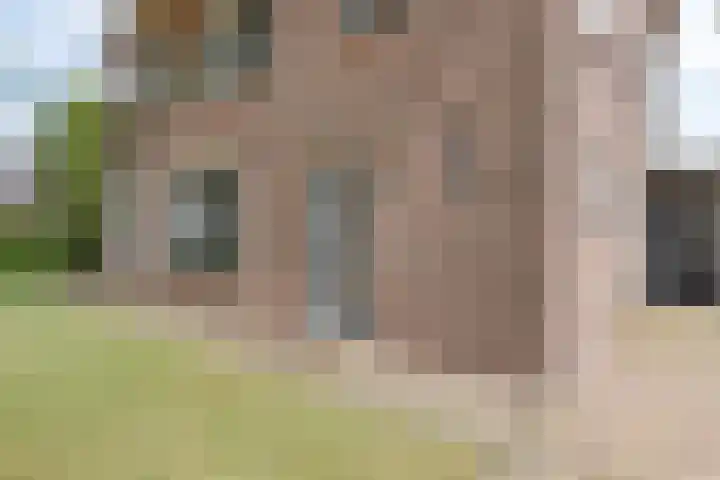 Dorpsstraat 80 Dalerpeel thumbnail 4