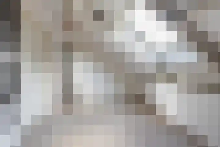 Dorpsstraat 80 Heinenoord thumbnail 22