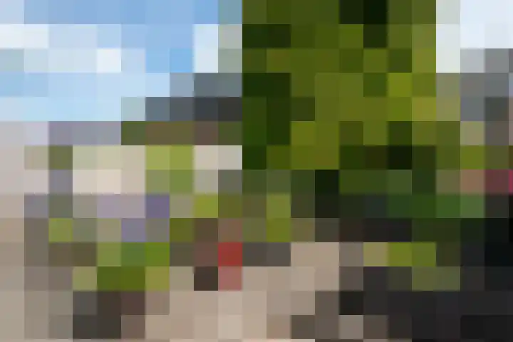 Dorpsstraat 80 Obdam thumbnail 55
