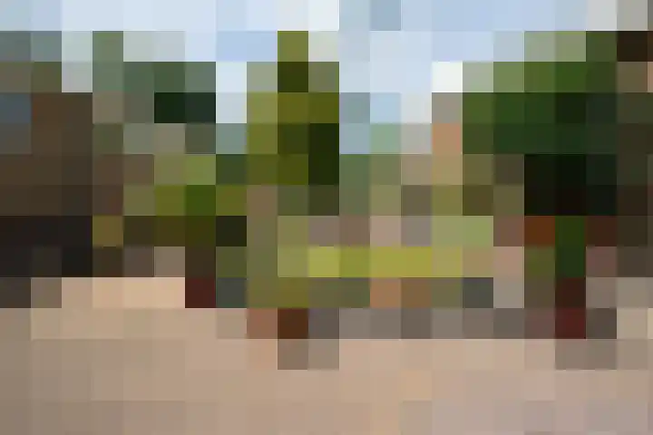 Dorpsstraat 80 Obdam thumbnail 59