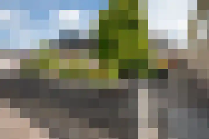 Dorpsstraat 80 Obdam thumbnail 67
