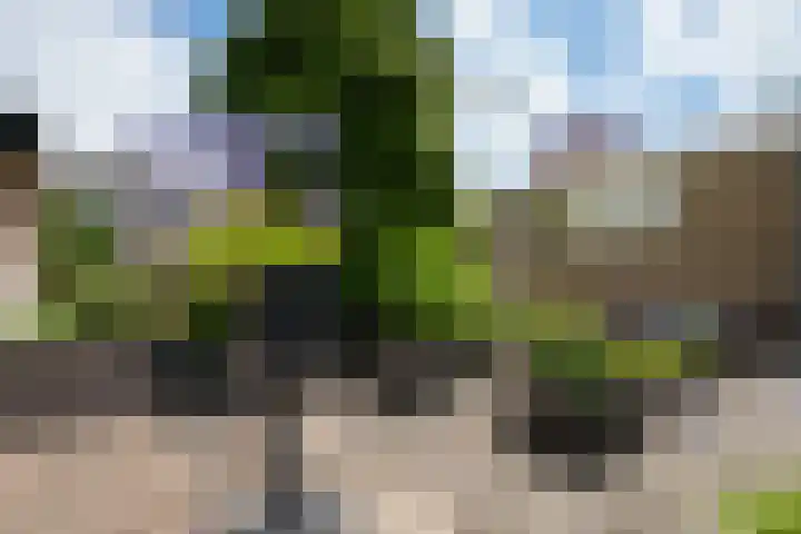 Dorpsstraat 80 Obdam thumbnail 69