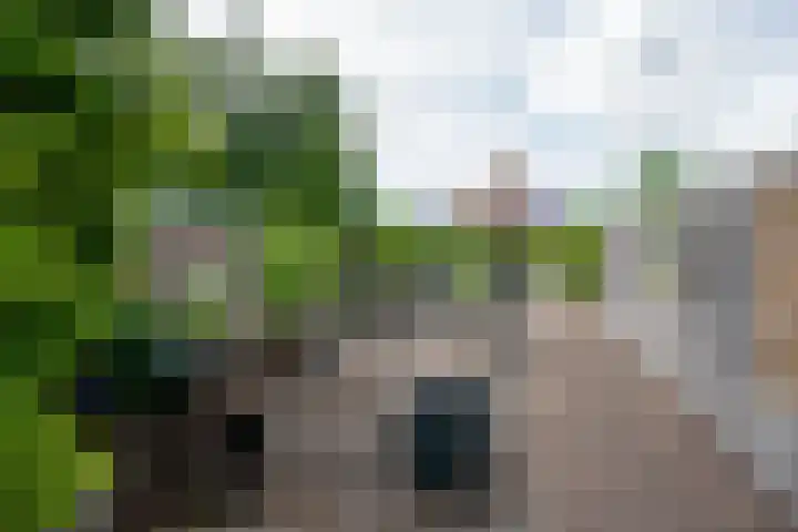Dorpsstraat 80 Obdam thumbnail 72