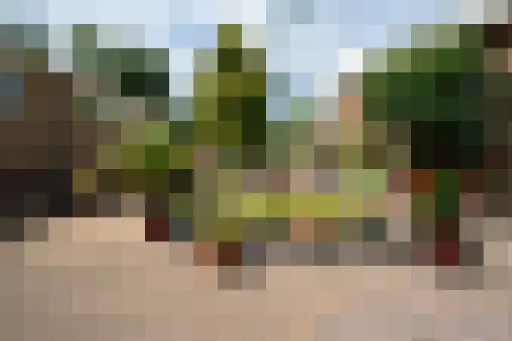 Dorpsstraat 80 Obdam thumbnail 75
