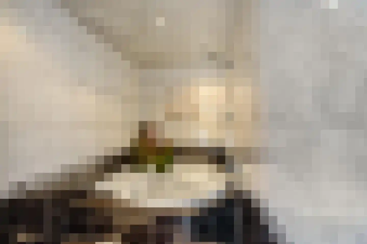 Dorpsstraat 80 Vriescheloo thumbnail 10