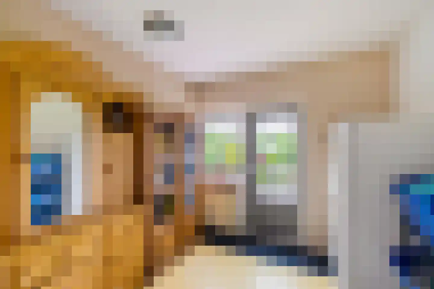 Dorpsstraat 80 Vriescheloo thumbnail 12