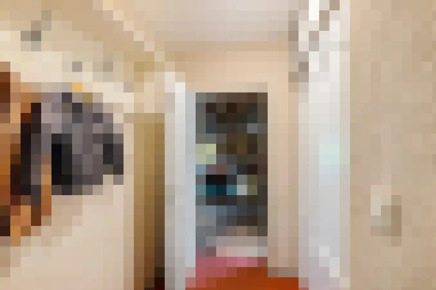 Dorpsstraat 80 Vriescheloo thumbnail 13