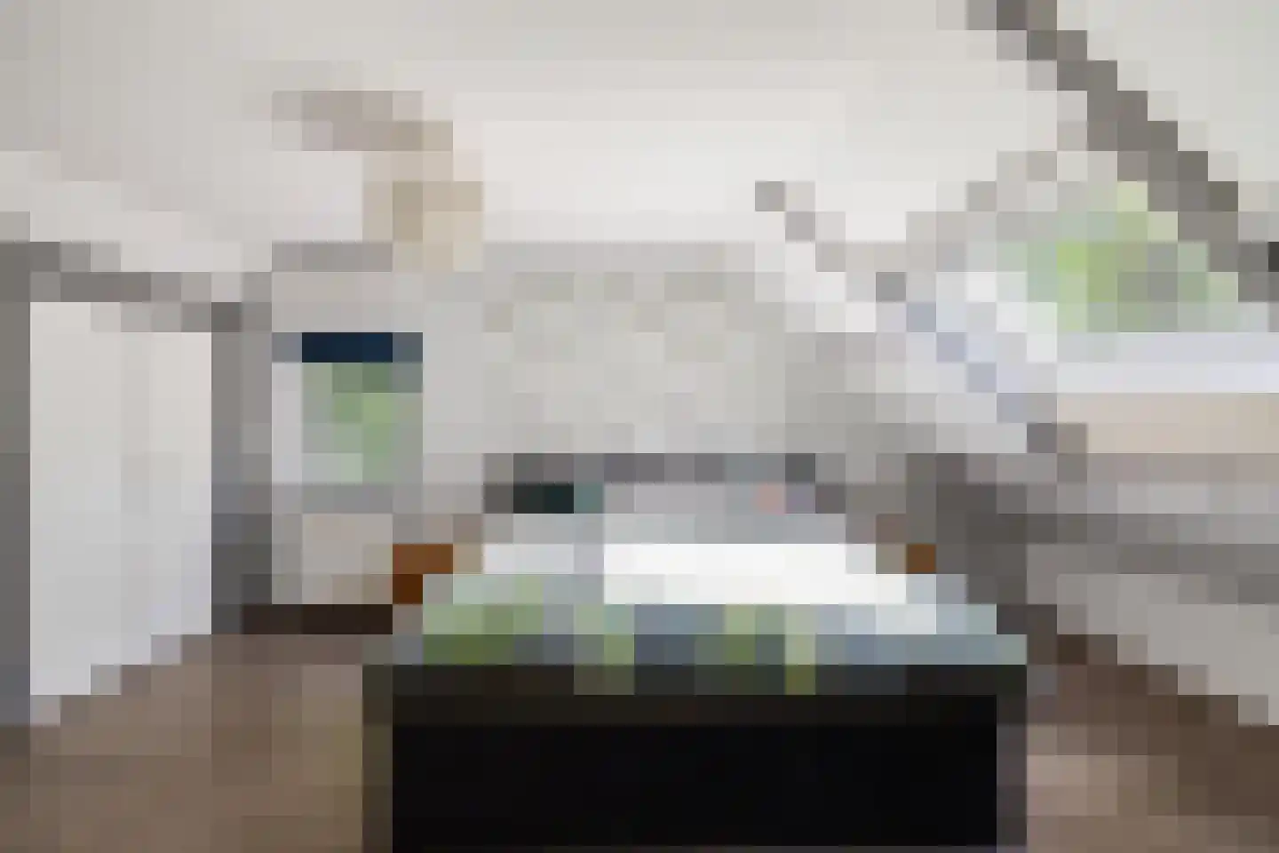 Dorpsstraat 80 Vriescheloo thumbnail 18