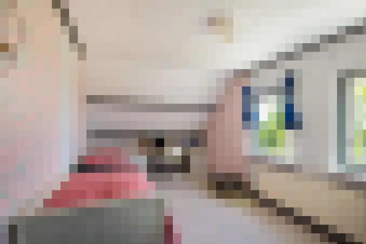 Dorpsstraat 80 Vriescheloo thumbnail 22