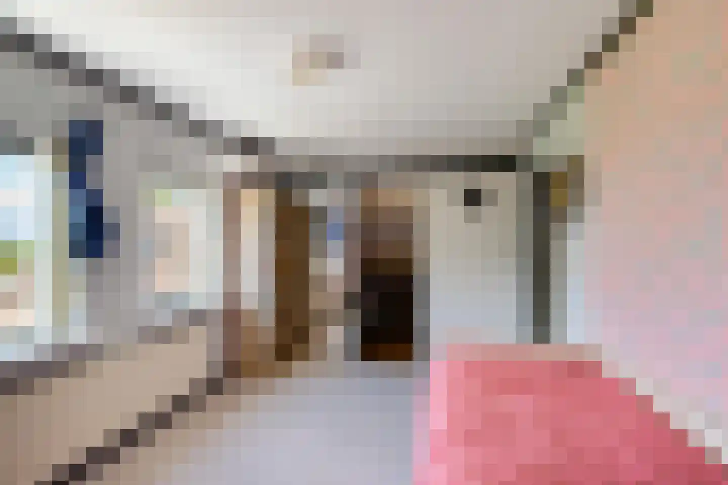 Dorpsstraat 80 Vriescheloo thumbnail 23