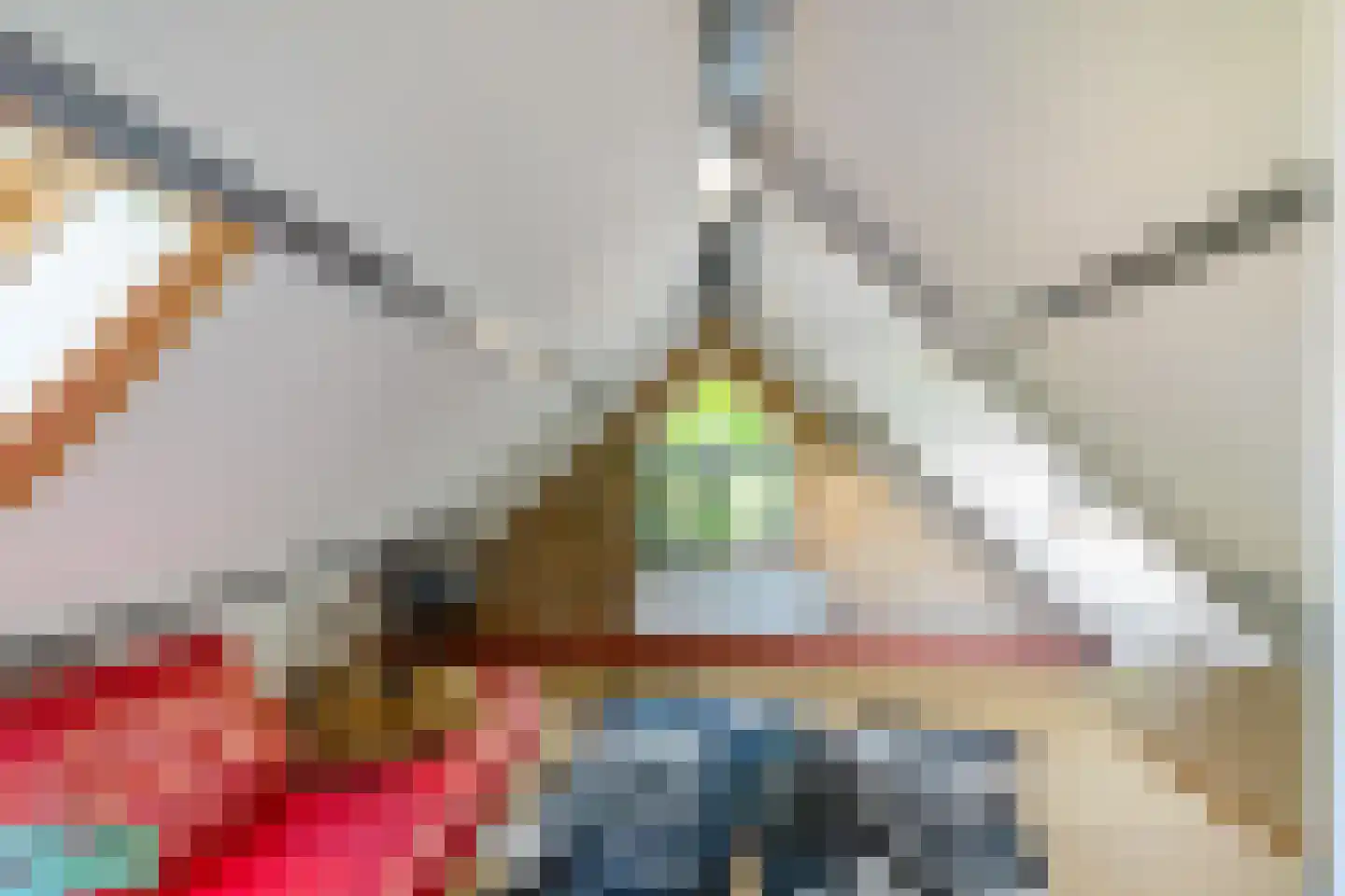 Dorpsstraat 80 Vriescheloo thumbnail 27