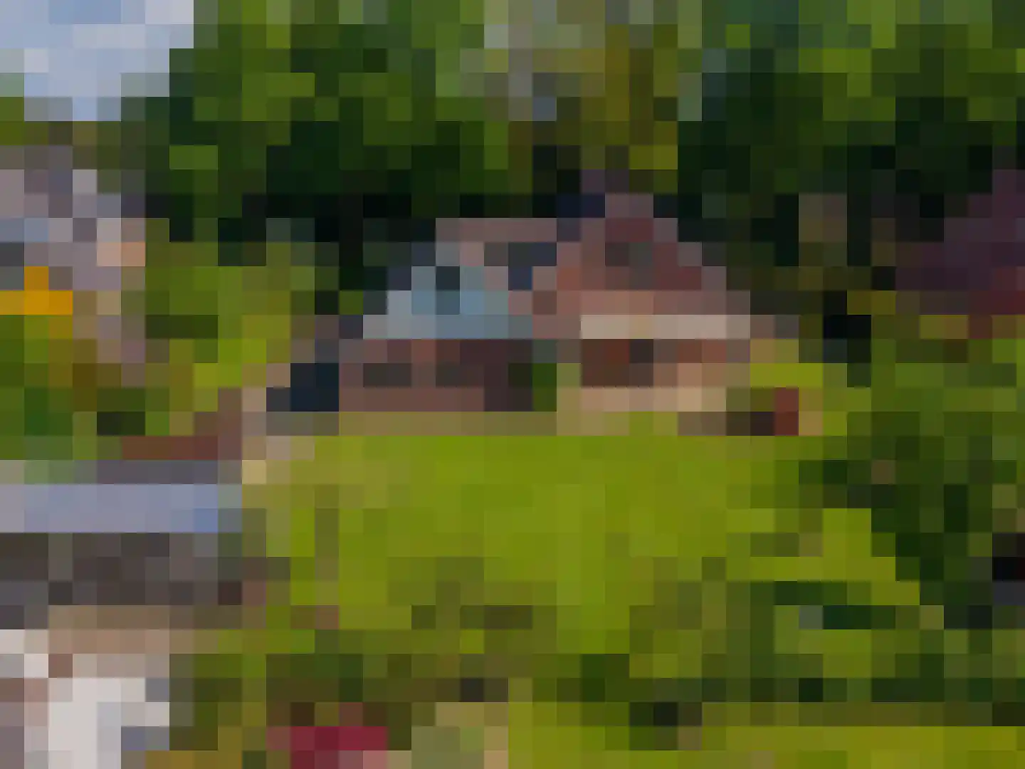 Dorpsstraat 80 Vriescheloo thumbnail 30