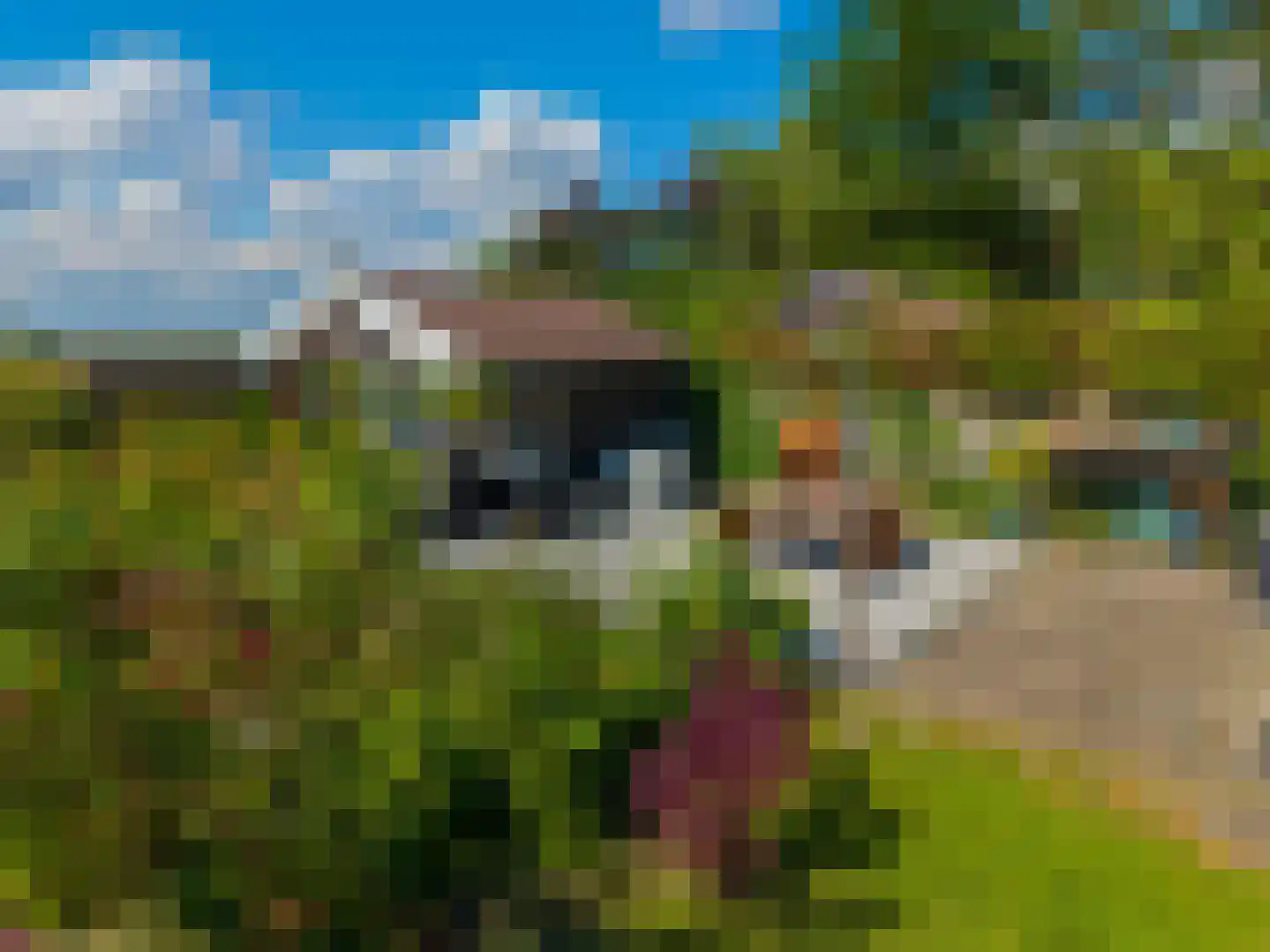 Dorpsstraat 80 Vriescheloo thumbnail 35