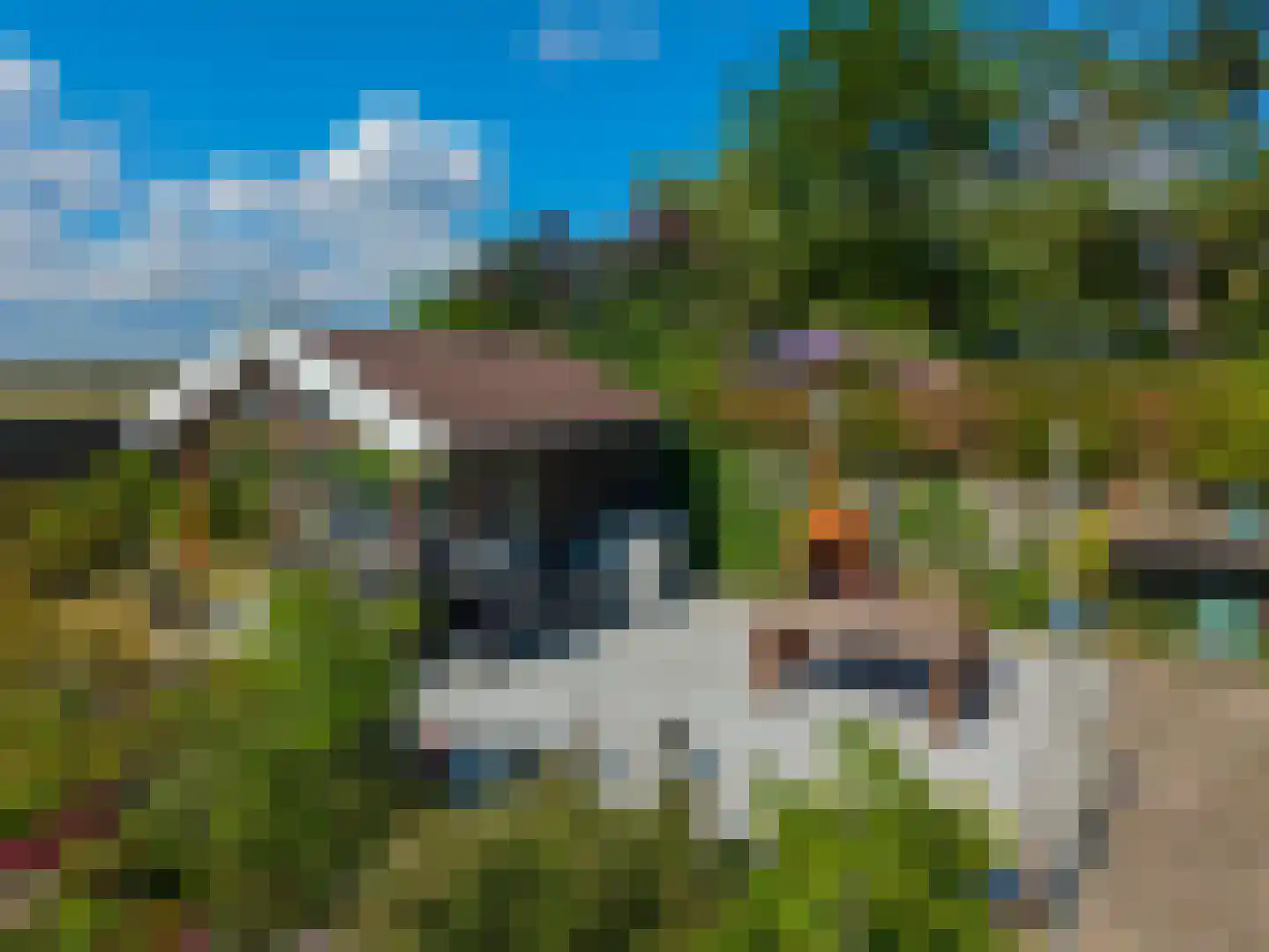 Dorpsstraat 80 Vriescheloo thumbnail 36